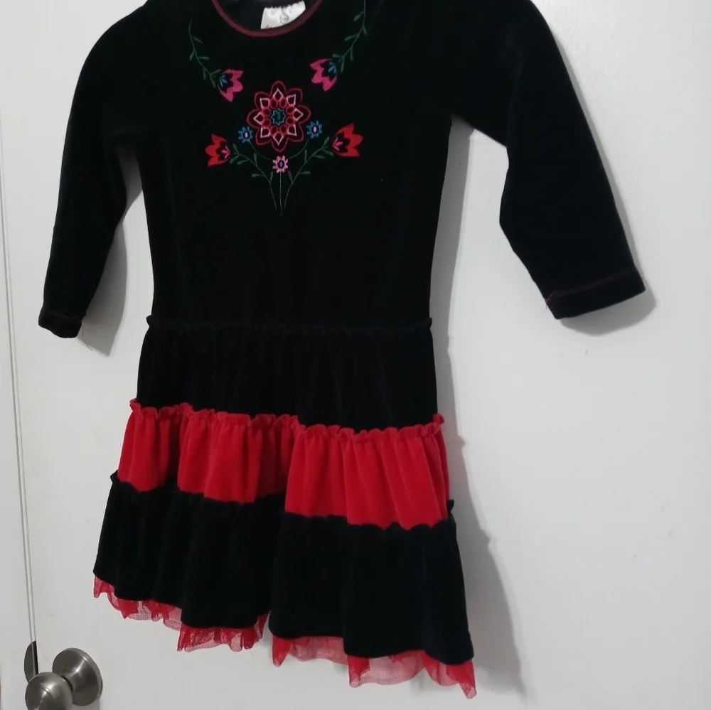 Hanna Andersson girls 4 Layered Long Sleeve Embroidered floral Velour Dress